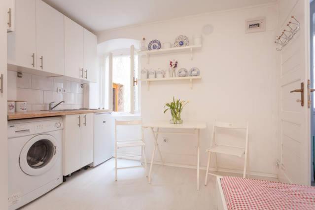 Vintage Apartment Rovinj Old Town Buitenkant foto
